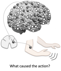 Causal chain leading to an action